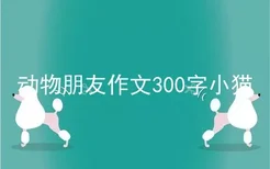 动物朋友作文300字小猫