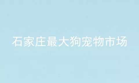 石家庄最大狗宠物市场