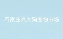 石家庄最大狗宠物市场