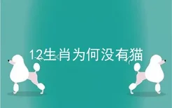 12生肖为何没有猫