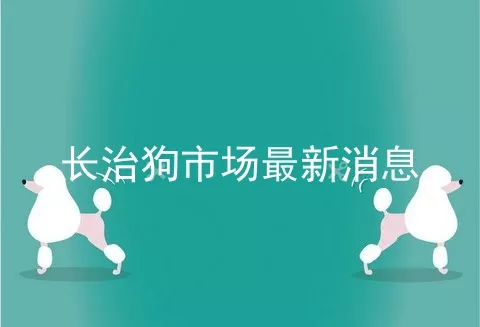 长治狗市场最新消息