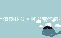 上海森林公园可以带狗狗吗