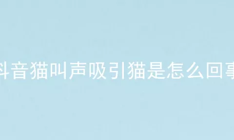 抖音猫叫声吸引猫是怎么回事