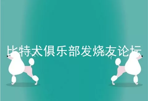 比特犬俱乐部发烧友论坛