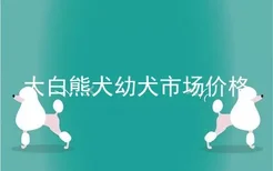 大白熊犬幼犬市场价格