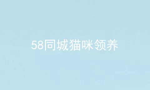 58同城猫咪领养