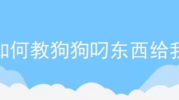 如何教狗狗叼东西给我