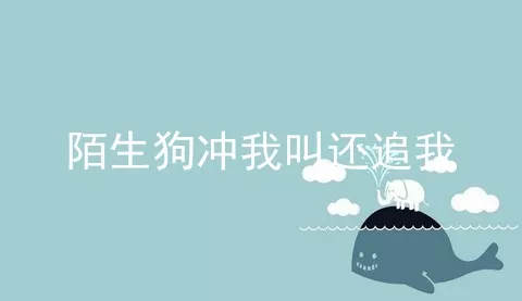 陌生狗冲我叫还追我