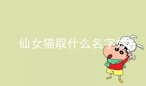 仙女猫取什么名字好