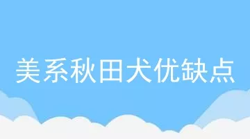 美系秋田犬优缺点