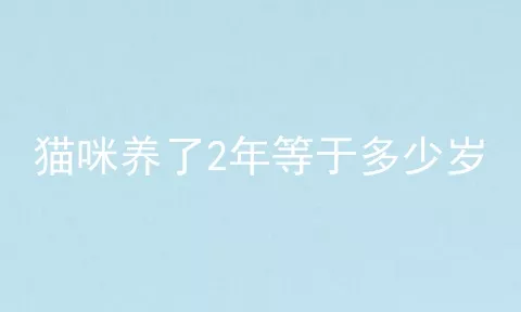 猫咪养了2年等于多少岁