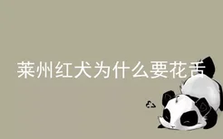 莱州红犬为什么要花舌