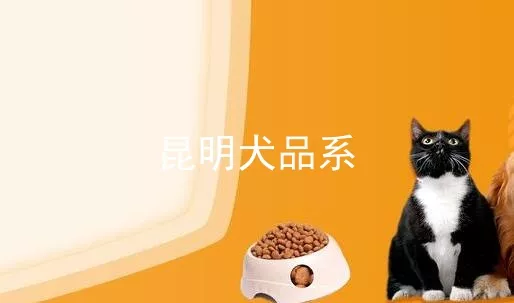 昆明犬品系