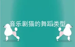 音乐剧猫的舞蹈类型