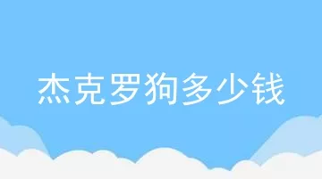 杰克罗狗多少钱