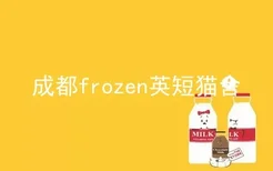 成都frozen英短猫舍