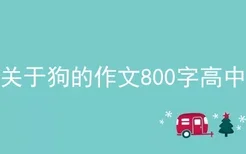 关于狗的作文800字高中