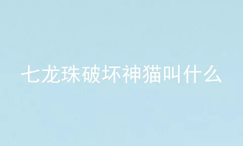 七龙珠破坏神猫叫什么