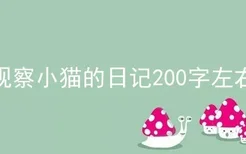 观察小猫的日记200字左右