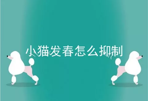 小猫发春怎么抑制