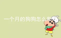 一个月的狗狗怎么断奶