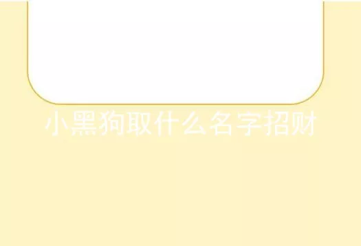 小黑狗取什么名字招财