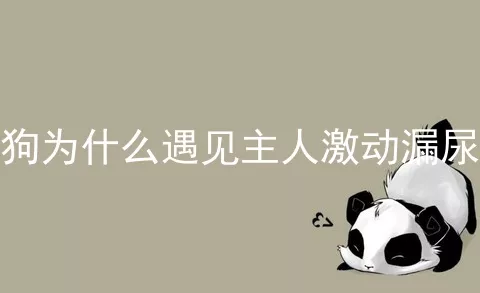 狗为什么遇见主人激动漏尿