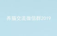 养猫交流微信群2019