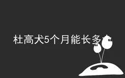 杜高犬5个月能长多大