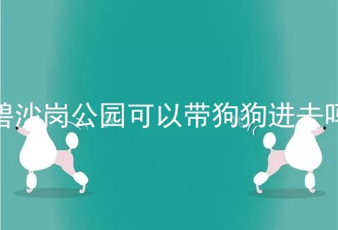 碧沙岗公园可以带狗狗进去吗