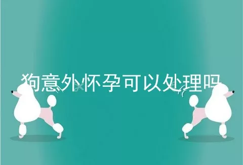 狗意外怀孕可以处理吗