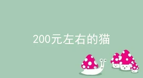 200元左右的猫