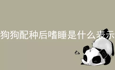 狗狗配种后嗜睡是什么表示