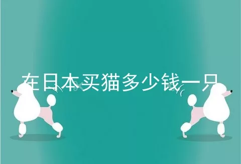 在日本买猫多少钱一只