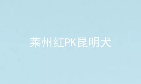 莱州红PK昆明犬