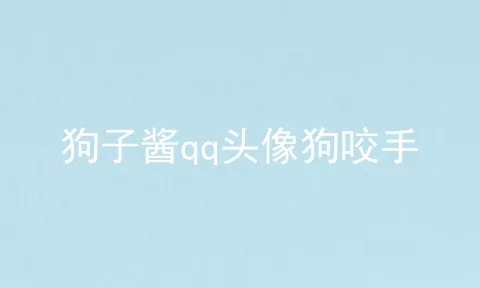 狗子酱qq头像狗咬手