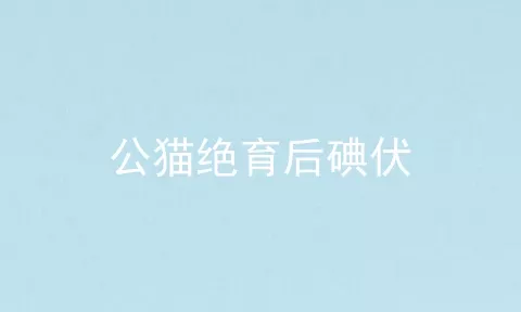 公猫绝育后碘伏