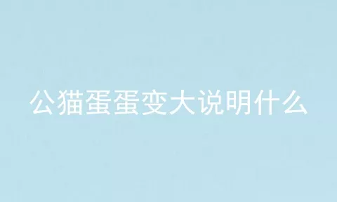 公猫蛋蛋变大说明什么