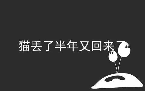 猫丢了半年又回来了