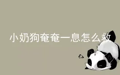 小奶狗奄奄一息怎么救