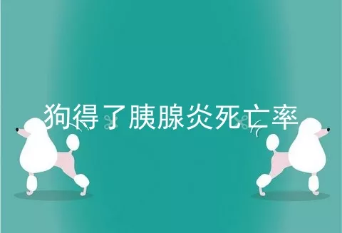 狗得了胰腺炎死亡率