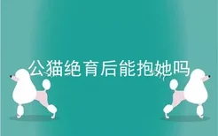 公猫绝育后能抱她吗