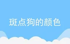 斑点狗的颜色