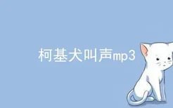 柯基犬叫声mp3