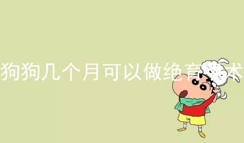 狗狗几个月可以做绝育手术