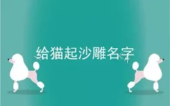 给猫起沙雕名字