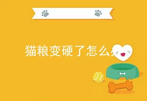 猫粮变硬了怎么办