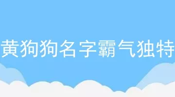 黄狗狗名字霸气独特