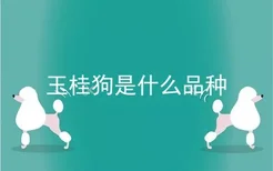 玉桂狗是什么品种