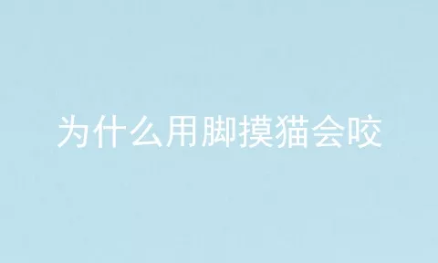 为什么用脚摸猫会咬